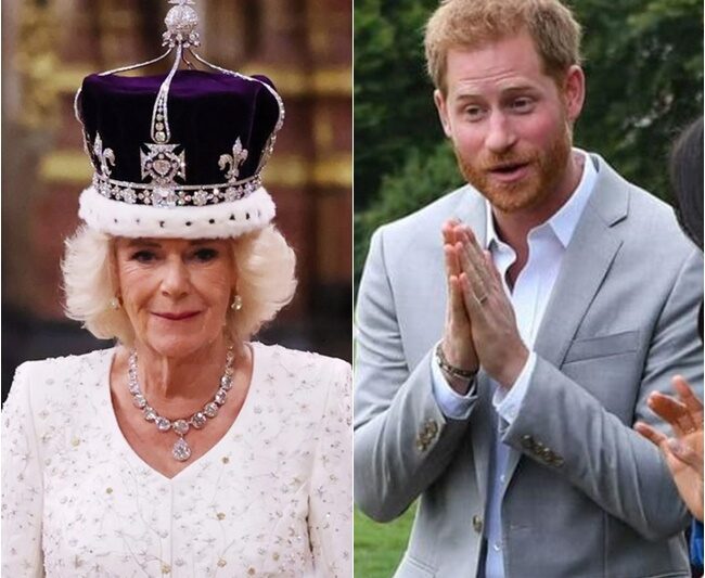 Breaking News: Prince Harry joyfully announced the DNA test results, revealing that he is the biological son of Queen Camilla: a shocking truth that has rocked England.